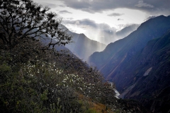 Camino a Choqek'iraw - Cusco
